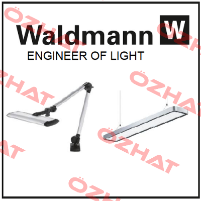 Waldmann