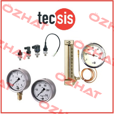 P3297B082001  Tecsis (WIKA Group)