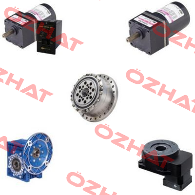 60W 220V 1/200 RED.(6 RPM) Spg Motor