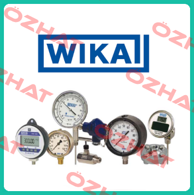 233.50 Pressure Gauge  Wika