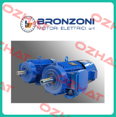 479322  Bronzoni