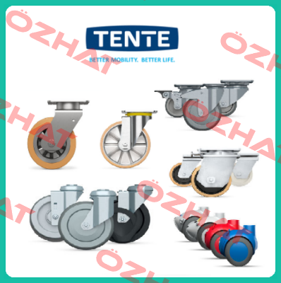 9950FTP150P65 (Teilenummer: 00803669-GS) Tente