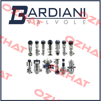 B925 TT VITON SMS63 Bardiani Valvole