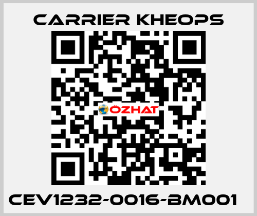 CEV1232-0016-BM001   Carrier Kheops