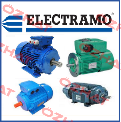 BE672340 Electramo