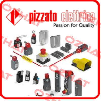 FD 2084-S1  OEM Pizzato Elettrica