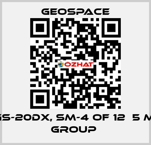 GS-20DX, SM-4 OF 12Х5 M, GROUP  GeoSpace