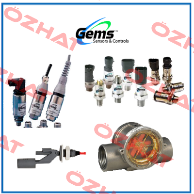 020-0842  OEM  Gems