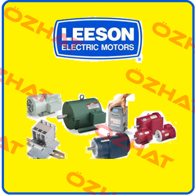 P184K14DZ2B   - OEM Leeson