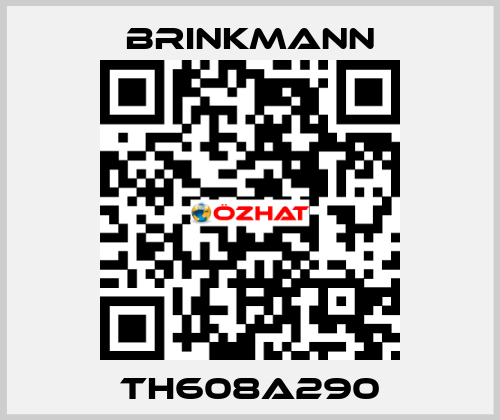 TH608A290 Brinkmann