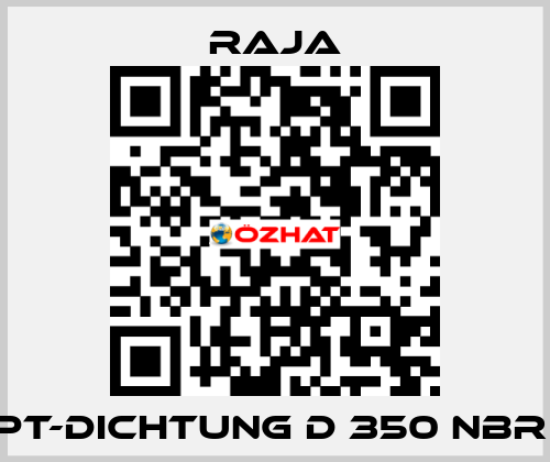 PT-Dichtung D 350 NBR  Raja