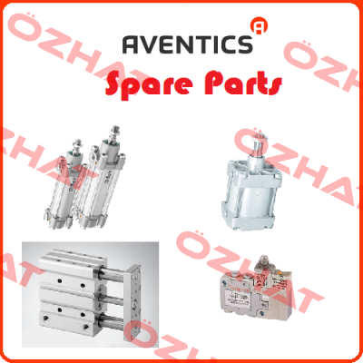 R412022876 Aventics