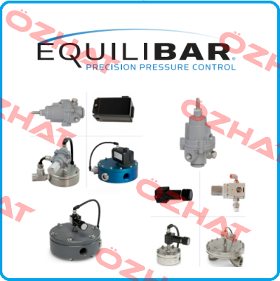 QPV1MANEEZN30IHGXCL-DD Equilibar