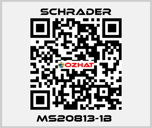 MS20813-1B  Schrader