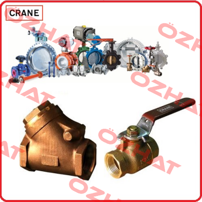 Ǿ 200 VALVES  Crane