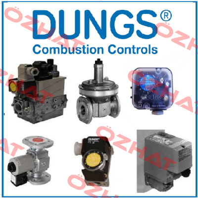 P/N: 226803 , Type: MB-DLE 420 B01 S20 + GW50A5 230VAC Dungs