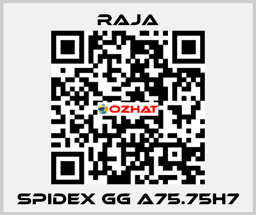 SPIDEX GG A75.75H7 Raja