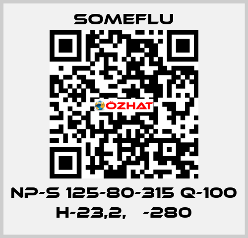 NP-S 125-80-315 Q-100 H-23,2, Ф-280 SOMEFLU