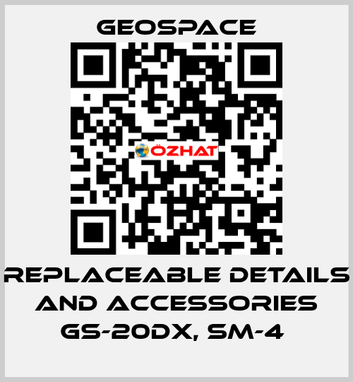 REPLACEABLE DETAILS AND ACCESSORIES GS-20DX, SM-4  GeoSpace