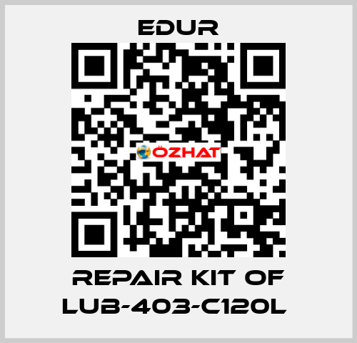 REPAIR KIT OF LUB-403-C120L  Edur