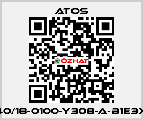 CK-40/18-0100-Y308-A-B1E3X1Z3 Atos