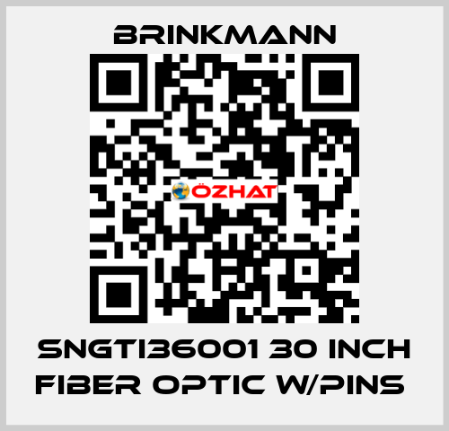 SNGTI36001 30 INCH FIBER OPTIC W/PINS  Brinkmann