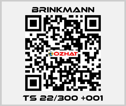 TS 22/300 +001 Brinkmann