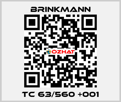 TC 63/560 +001 Brinkmann