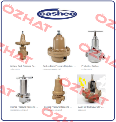 830-H2-10080-95 Cashco