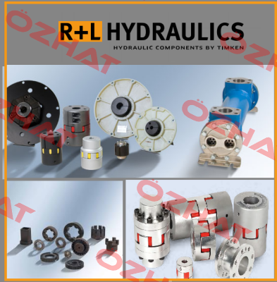 DR-V1/B5-250/VS NBR R+L HYDRAULICS