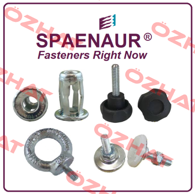 155-P24-1W SPAENAUR