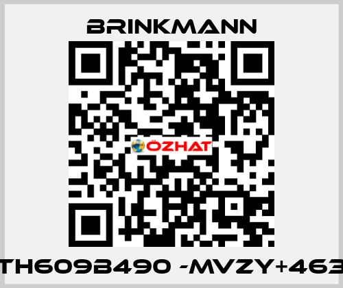 TH609B490 -MVZY+463 Brinkmann