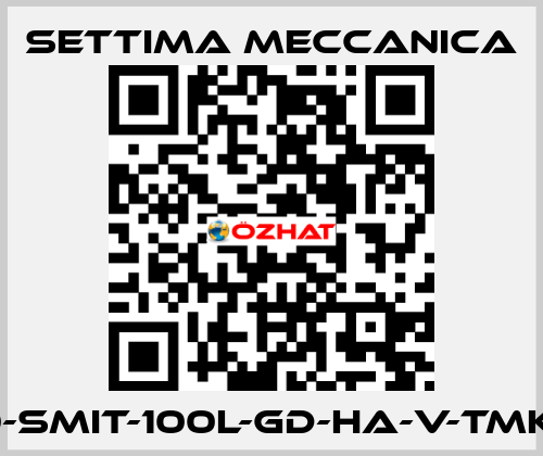 GR40-SMIT-100L-GD-HA-V-TMK-CSM Settima Meccanica