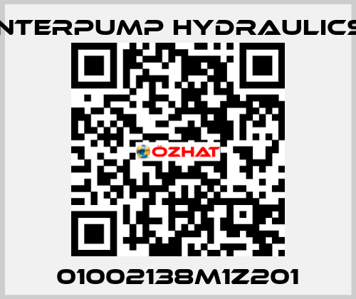 01002138M1Z201 Interpump hydraulics