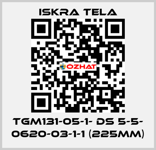 TGM131-05-1- DS 5-5- 0620-03-1-1 (225mm) ISKRA TELA