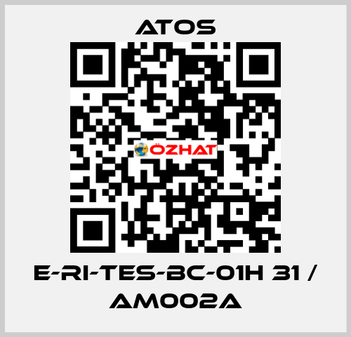 E-RI-TES-BC-01H 31 / AM002A Atos