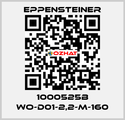 1000525B WO-D01-2,2-M-160 Eppensteiner