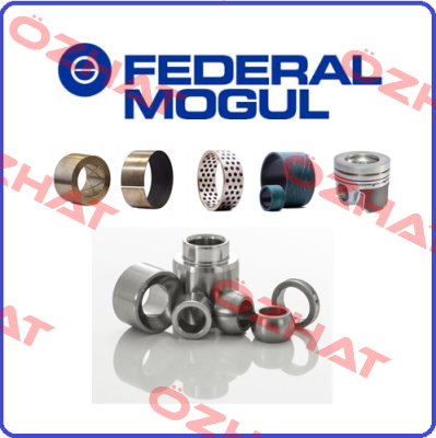 BP25 16/20x16  Federal Mogul