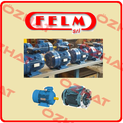 MA100L1-4  Felm