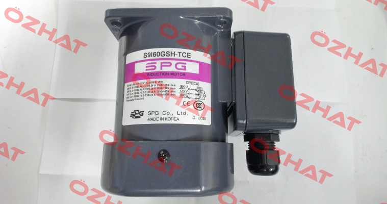 S9I60GSH-TCE Spg Motor