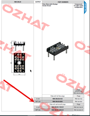 RMI209.20.6202 Staubli