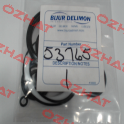 53765 Bijur Delimon