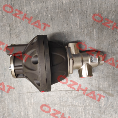 PN 4S-200 Inox (M40501156) Pratissoli