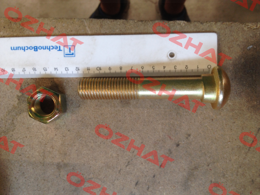 Screws for DN 219,1 coupling  Victaulic