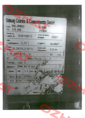 Typ DC-Pro 5-250 1/1 H5V16/4 380-415/50 Demag