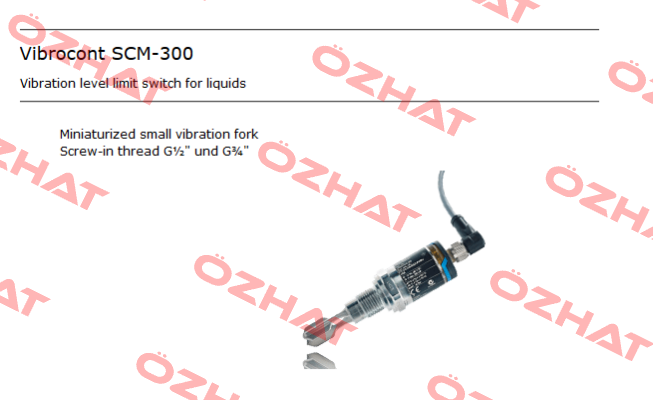 111000074 Type Vibrocont SCM 300 K 2 GA 01 S ACS CONTSYS