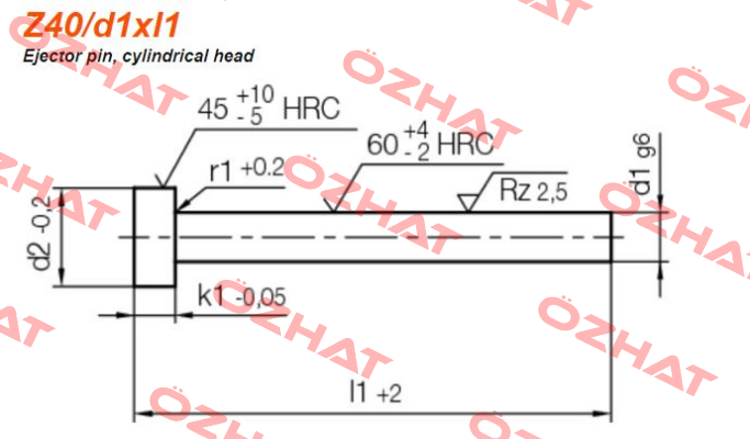 Z40/1,5x100 Hasco