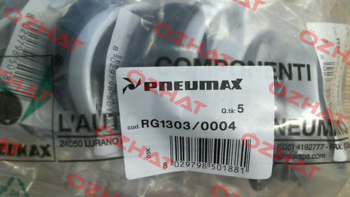 1303-1304-1305.63.0.01 Pneumax