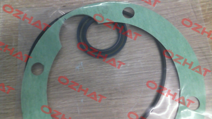 SEAL KIT for GR70-SMT16B pump Settima