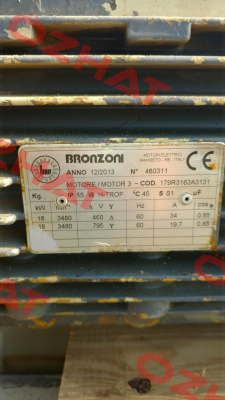 173R3163A3131  Bronzoni